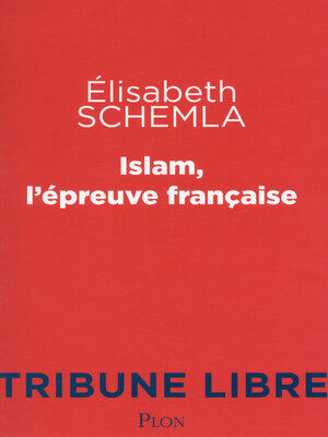 cover image of Islam, l'épreuve française